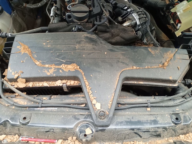 Recambio de filtro aire para bmw 1 (f20) 118 d referencia OEM IAM   