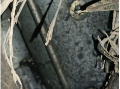 Recambio de motor arranque para peugeot 208 i (ca_, cc_) 1.6 hdi / bluehdi 75 referencia OEM IAM   