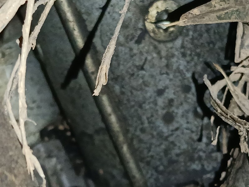 Recambio de motor arranque para peugeot 208 i (ca_, cc_) 1.6 hdi / bluehdi 75 referencia OEM IAM   