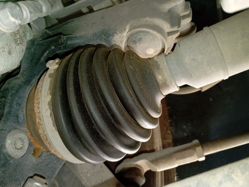 Recambio de transmision delantera derecha para seat leon (kl1, klg) 2.0 tdi referencia OEM IAM   