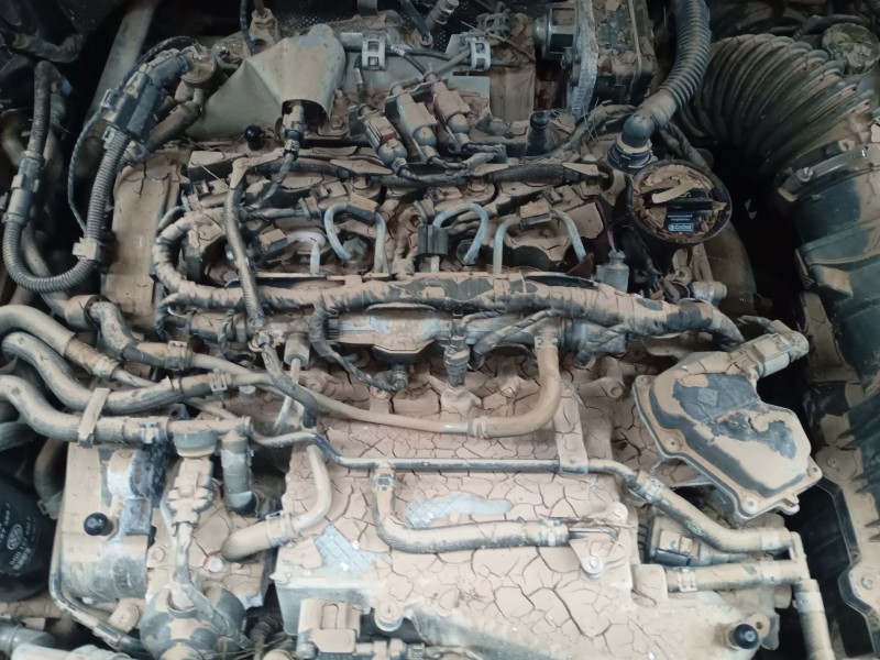 seat leon (kl1, klg) del año 2021