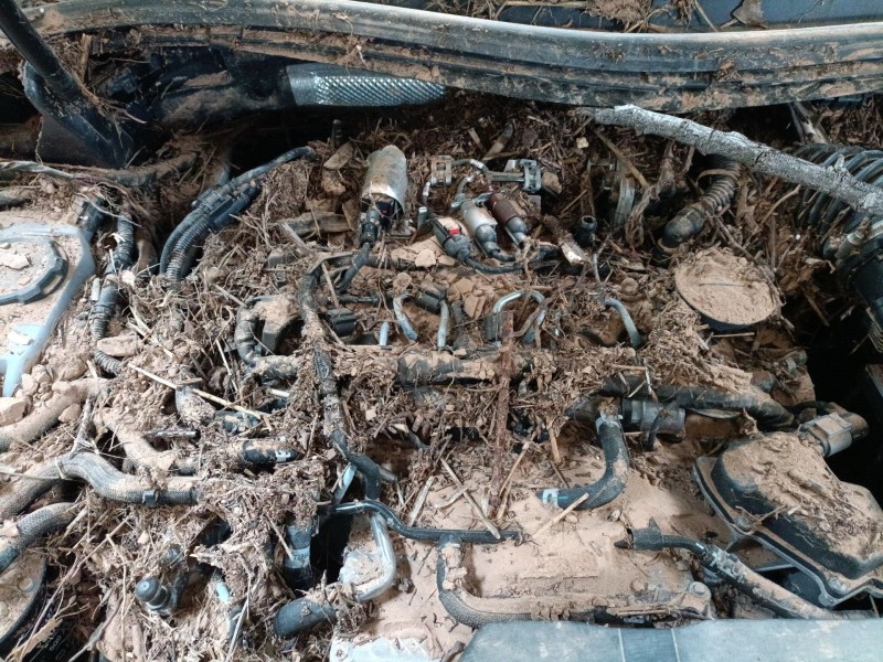 volkswagen tiguan (ad1, ax1) del año 2024