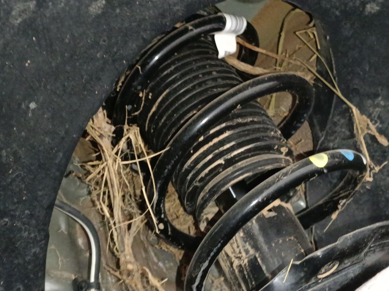 Recambio de amortiguador delantero derecho para volkswagen tiguan (ad1, ax1) 2.0 tdi referencia OEM IAM   