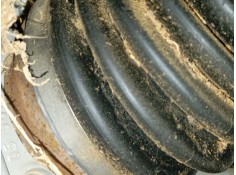 Recambio de transmision delantera izquierda para volkswagen tiguan (ad1, ax1) 1.5 tsi referencia OEM IAM   