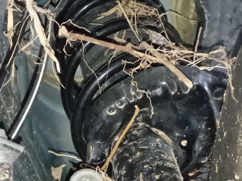 Recambio de amortiguador delantero derecho para volkswagen tiguan (ad1, ax1) 1.5 tsi referencia OEM IAM   