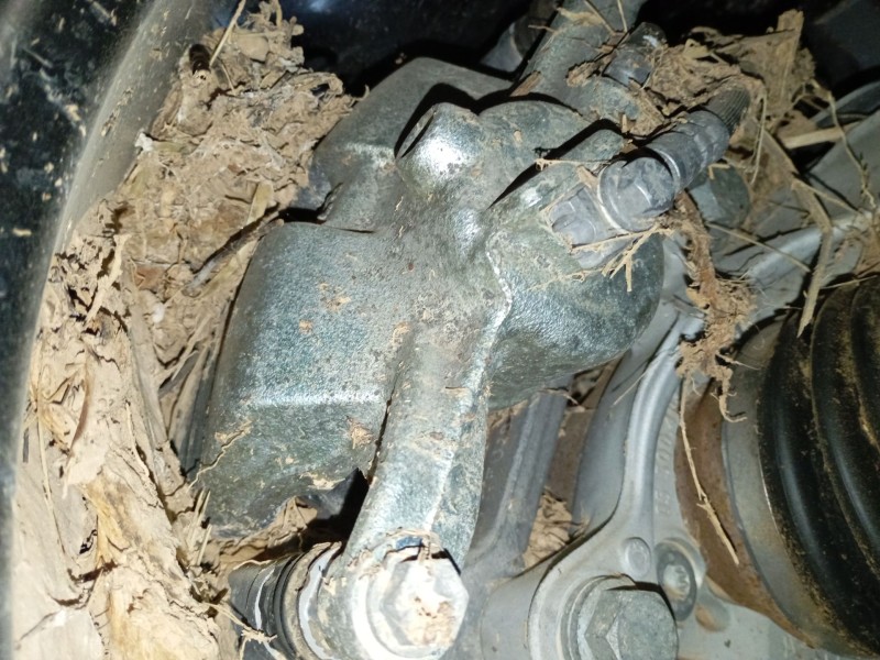 Recambio de pinza freno delantera derecha para volkswagen tiguan (ad1, ax1) 1.5 tsi referencia OEM IAM   