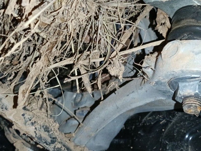 Recambio de mangueta delantera derecha para volkswagen tiguan (ad1, ax1) 2.0 tdi referencia OEM IAM   