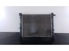 RADIADOR AGUA 214101612R P2-B6-28