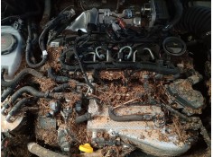 volkswagen tiguan (ad1, ax1) del año 2024 2