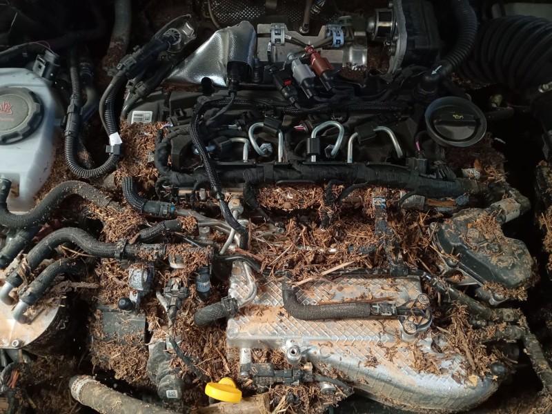 volkswagen tiguan (ad1, ax1) del año 2024