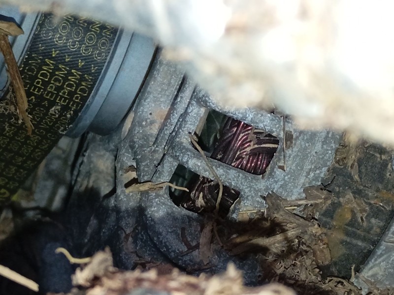 Recambio de alternador para volkswagen tiguan (ad1, ax1) 2.0 tdi referencia OEM IAM   