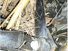 AMORTIGUADOR TRASERO DERECHO 