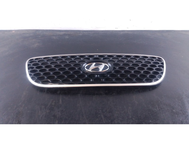 Recambio de rejilla delantera para hyundai terracan (hp) 2.9 crdi cat referencia OEM IAM   