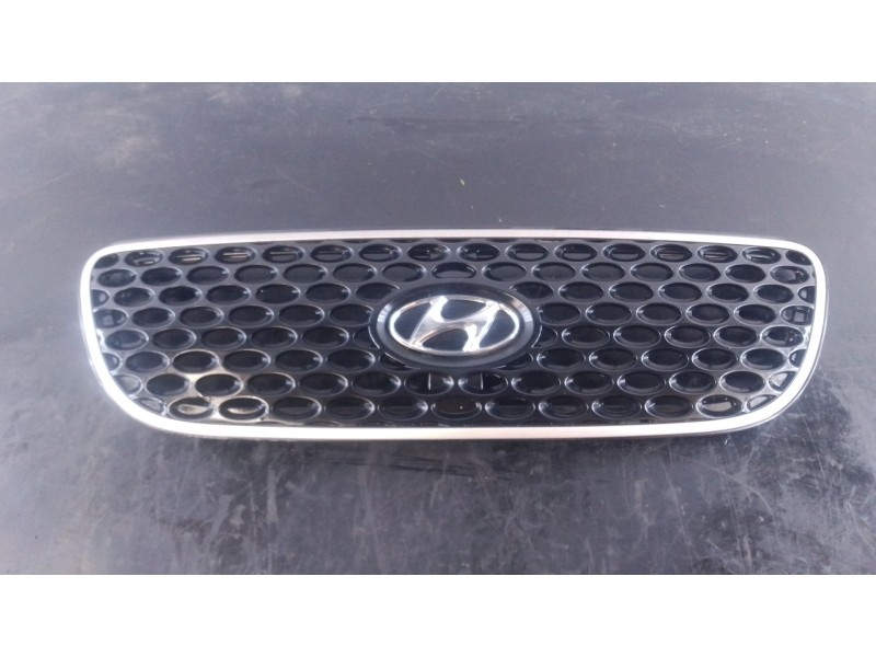 Recambio de rejilla delantera para hyundai terracan (hp) 2.9 crdi cat referencia OEM IAM   