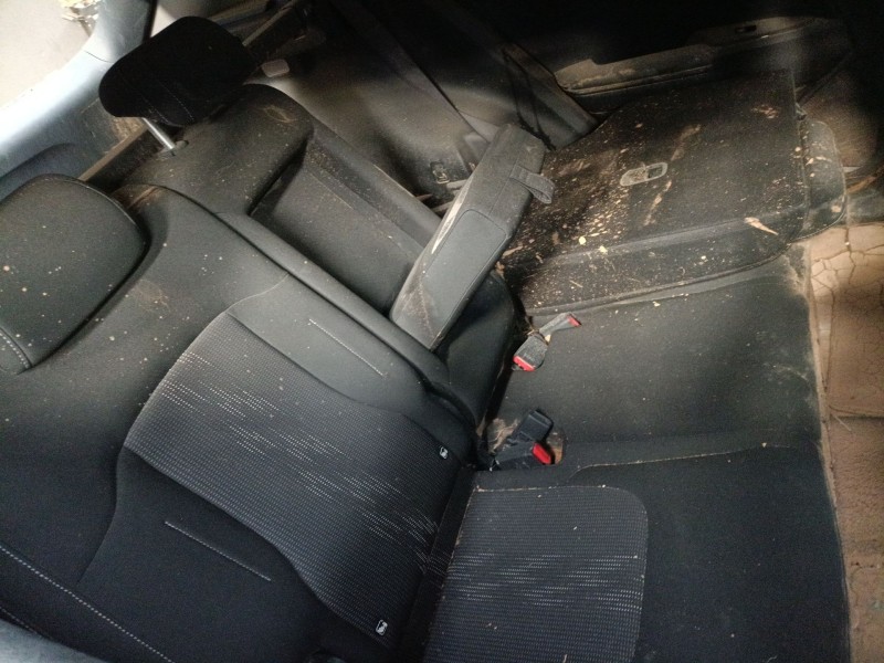 kia sportage v (nq5) del año 2023