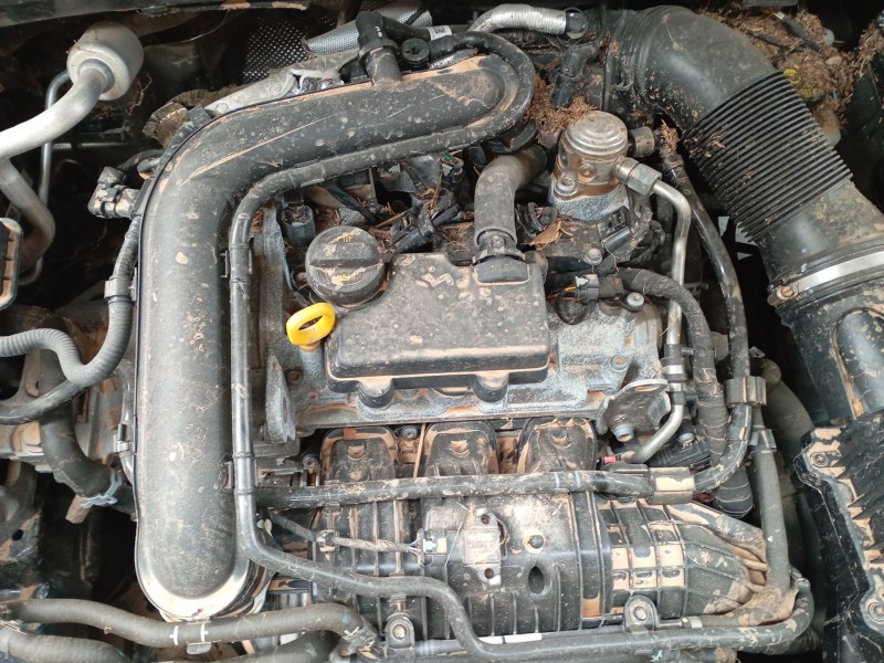 volkswagen t-cross (c11, d31) del año 2024