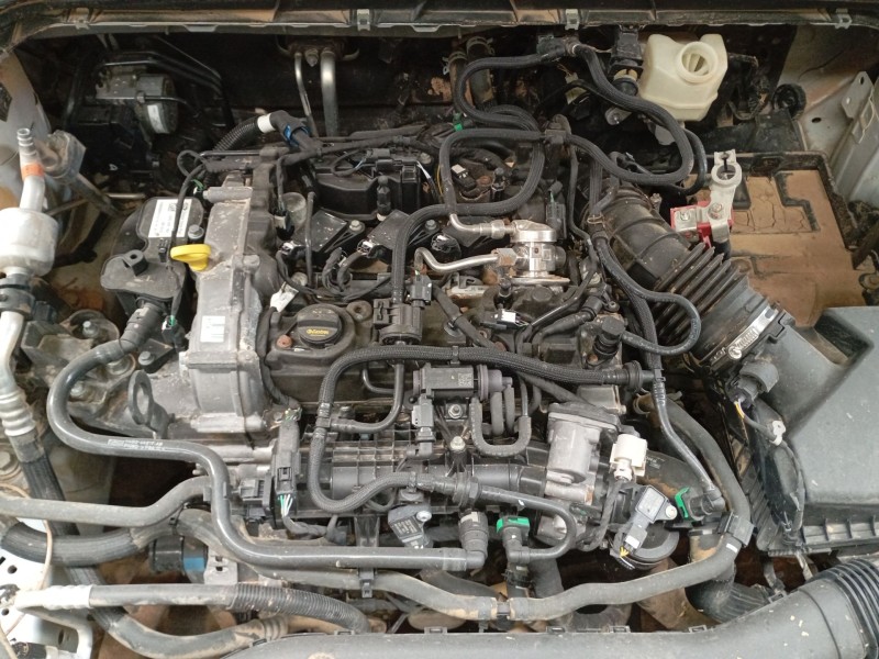 ford focus iv (hn) del año 2020