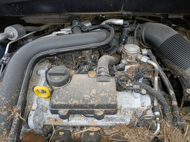 volkswagen t-cross (c11, d31) del año 2024