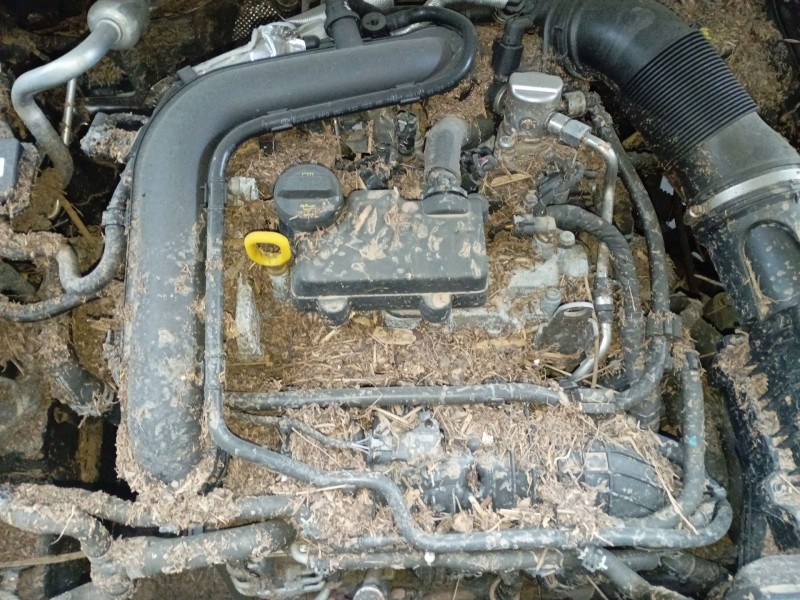 volkswagen t-cross (c11, d31) del año 2024