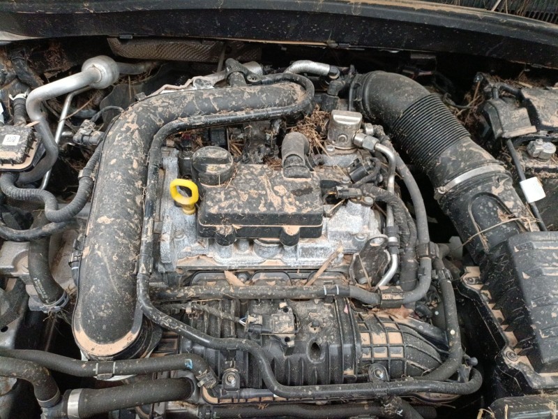 volkswagen t-cross (c11, d31) del año 2024