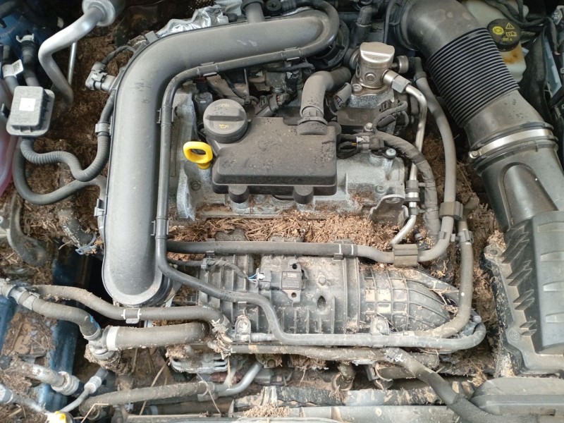 volkswagen t-cross (c11, d31) del año 2024