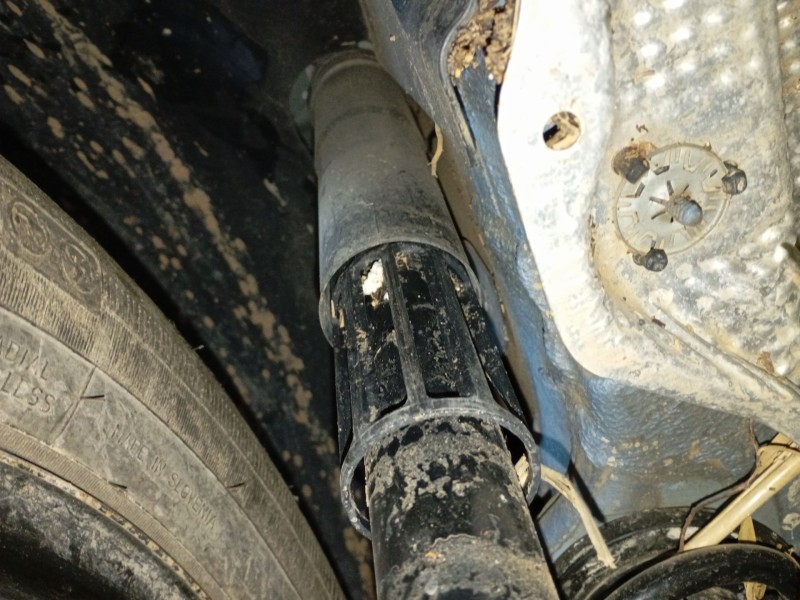 Recambio de amortiguador trasero izquierdo para volkswagen t-cross (c11, d31) 1.0 tsi referencia OEM IAM   