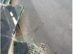 Recambio de salpicadero para renault clio iv (bh_) 0.9 tce 90 referencia OEM IAM    2