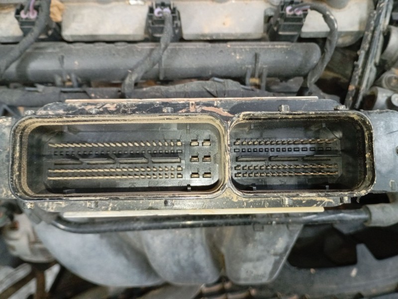 Recambio de centralita motor uce para seat ibiza iv (6j5, 6p1) 1.0 referencia OEM IAM 04E907309CB  