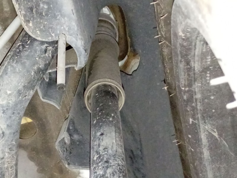 Recambio de amortiguador trasero derecho para seat ibiza iv (6j5, 6p1) 1.0 referencia OEM IAM   