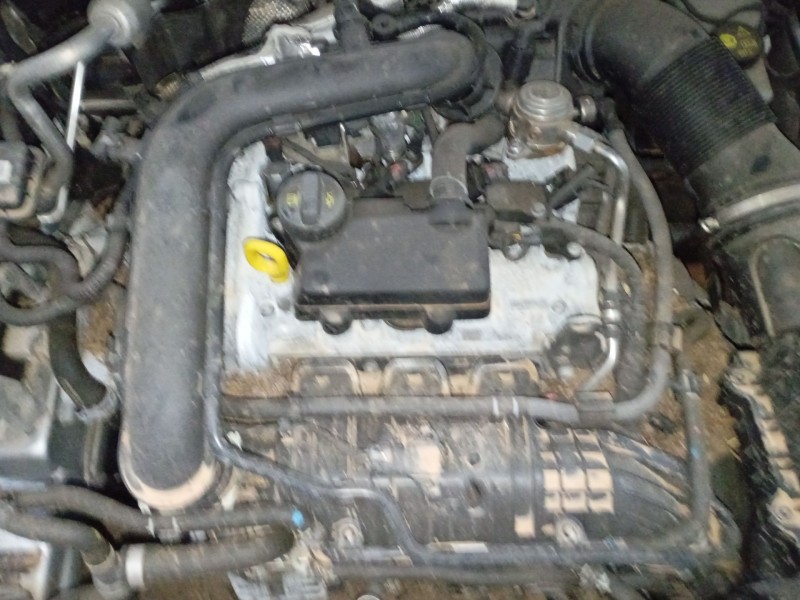 volkswagen t-cross (c11, d31) del año 2024