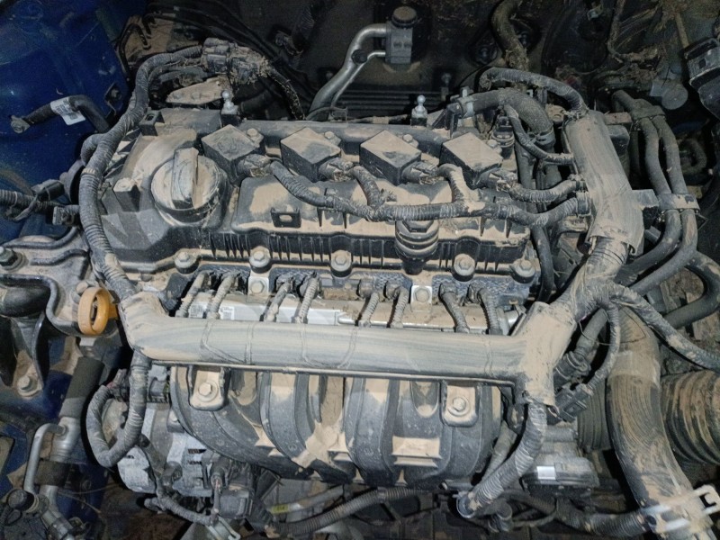 kia rio iv (yb, sc, fb) del año 2021