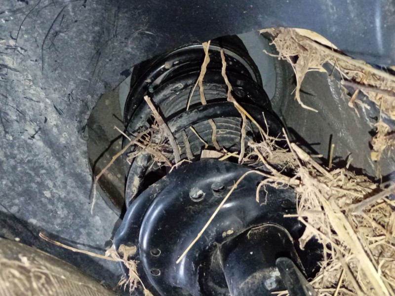 Recambio de amortiguador delantero izquierdo para volkswagen t-cross (c11, d31) 1.0 tsi referencia OEM IAM   