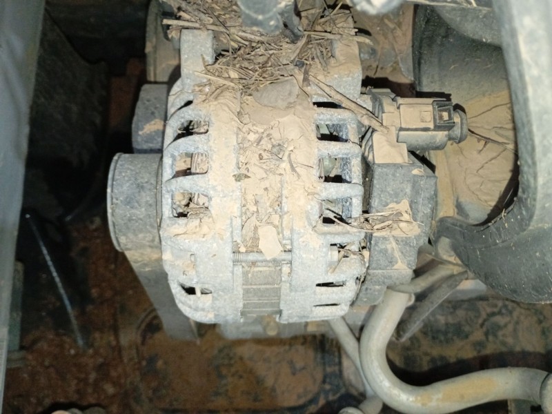 Recambio de alternador para seat ibiza iv (6j5, 6p1) 1.0 referencia OEM IAM   