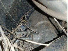 Recambio de cremallera direccion para seat ibiza iv (6j5, 6p1) 1.6 tdi referencia OEM IAM    2