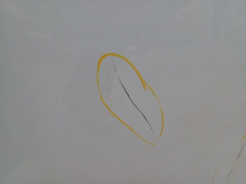 Recambio de puerta trasera derecha para bmw x3 (e83) 2.0d referencia OEM IAM   