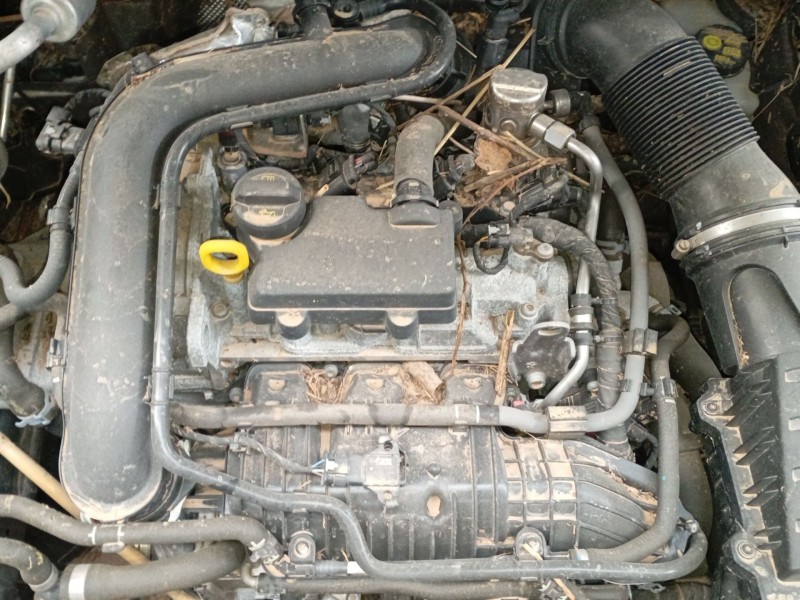 volkswagen t-cross (c11, d31) del año 2024