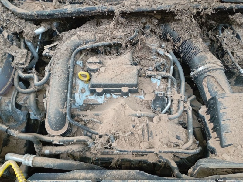 volkswagen t-cross (c11, d31) del año 2024