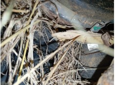 MANGUETA DELANTERA IZQUIERDA 