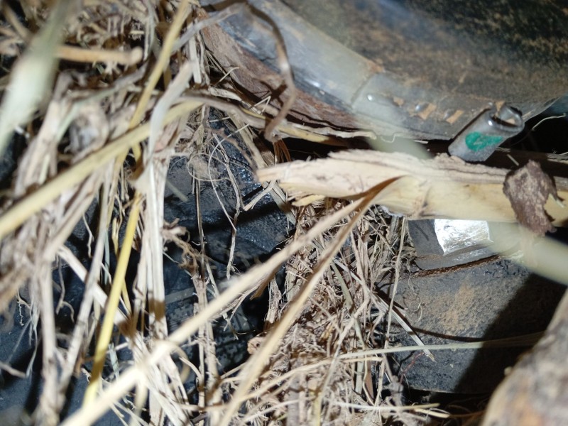 Recambio de mangueta delantera izquierda para volkswagen t-cross (c11, d31) 1.0 tsi referencia OEM IAM   