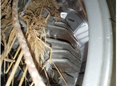 Recambio de pinza freno trasera derecha para volkswagen t-cross (c11, d31) 1.0 tsi referencia OEM IAM   