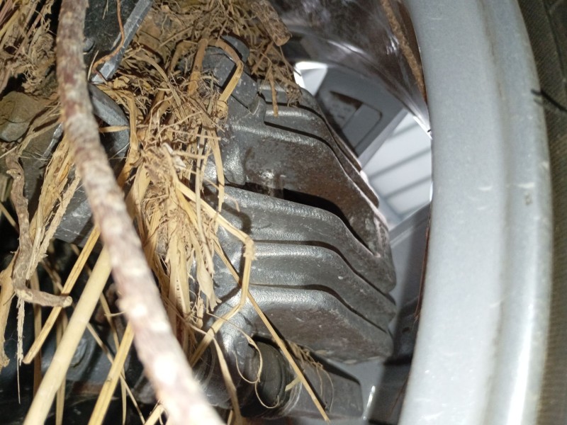 Recambio de pinza freno trasera derecha para volkswagen t-cross (c11, d31) 1.0 tsi referencia OEM IAM   