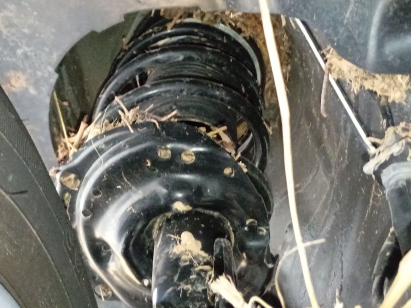 Recambio de amortiguador delantero izquierdo para volkswagen t-cross (c11, d31) 1.0 tsi referencia OEM IAM   