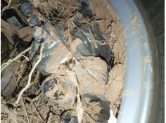 PINZA FRENO DELANTERA IZQUIERDA 