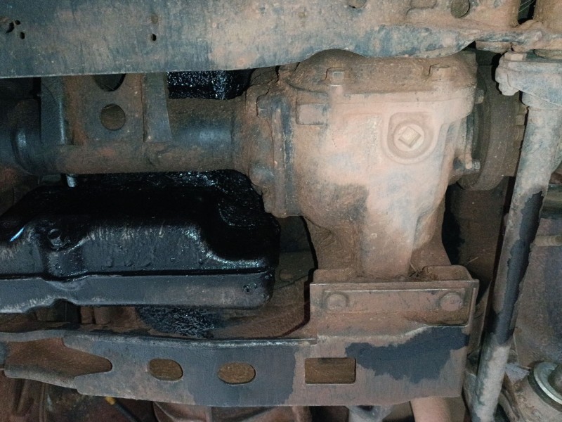 Recambio de diferencial delantero para nissan terrano ii (r20) 2.7 tdi 4wd referencia OEM IAM   