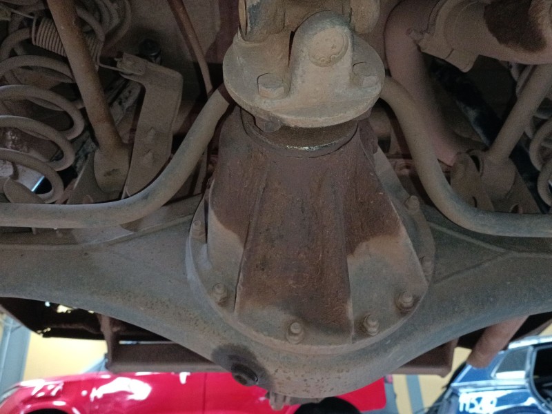 Recambio de diferencial trasero para nissan terrano ii (r20) 2.7 tdi 4wd referencia OEM IAM   