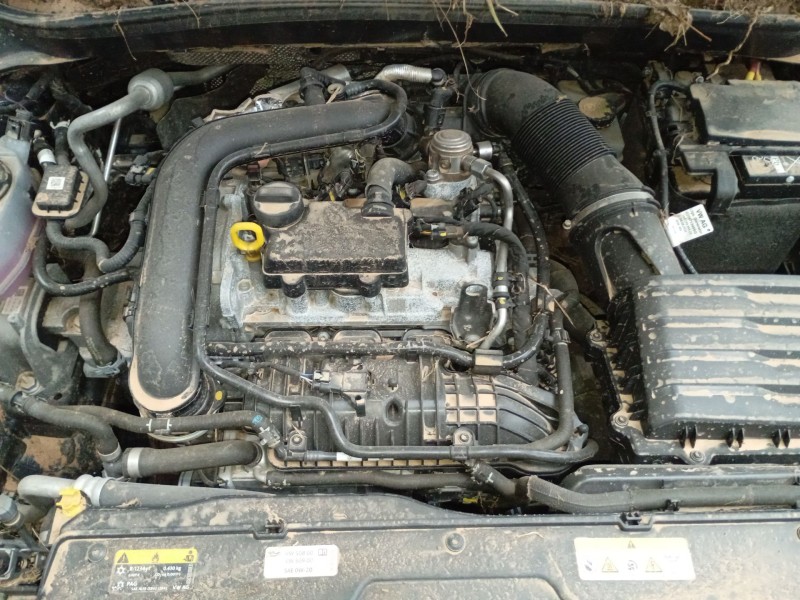 volkswagen t-cross (c11, d31) del año 2024