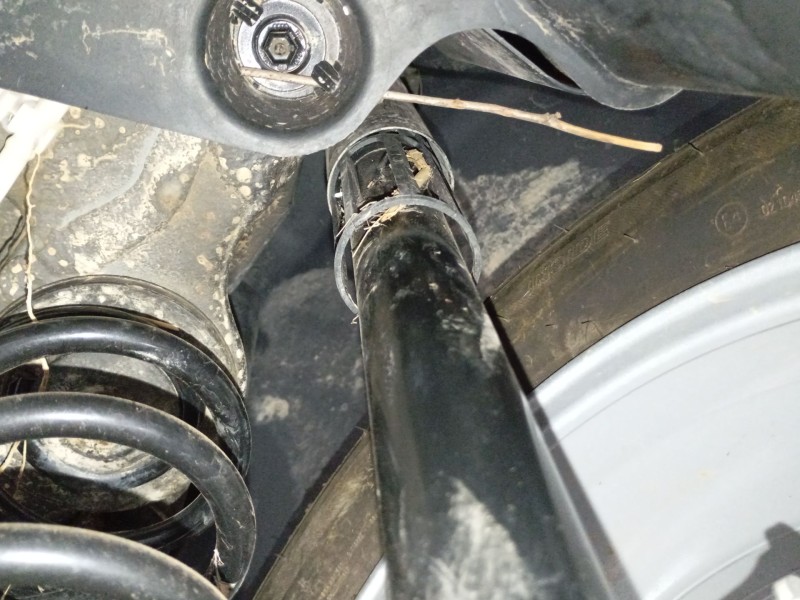 Recambio de amortiguador trasero derecho para volkswagen t-cross (c11, d31) 1.0 tsi referencia OEM IAM   