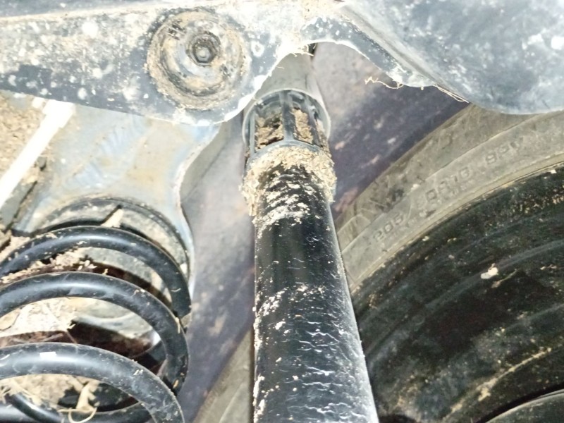 Recambio de amortiguador trasero derecho para volkswagen t-cross (c11, d31) 1.0 tsi referencia OEM IAM   