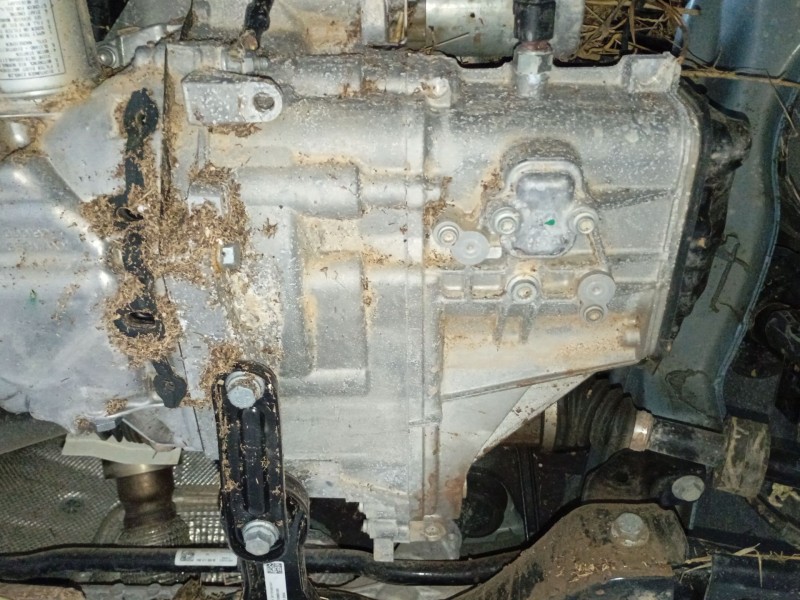 Recambio de caja cambios para volkswagen t-cross (c11, d31) 1.0 tsi referencia OEM IAM   