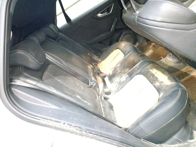 audi q2 (gab, gag) del año 2024